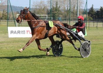 1st leg of Trophee Vert won by Eight