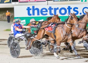 “Healthy and sound” as talented mare makes long awaited return