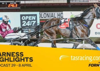 Tasmanian Harness Highlights Podcast