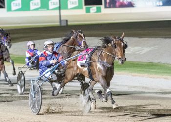 French mare tastes Group glory