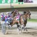 Easter Group trotting double 3 French mare tastes Group glory