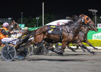 Queensland harness racing wrap