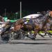 Queensland harness racing wrap
