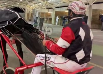 Champion trotter obliterates New Zealand record