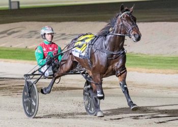 Good times rolled on for harness racing couple