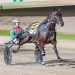 Good times rolled on for harness racing couple