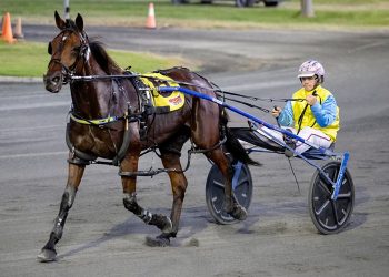 Lachie gearing up for Trot Rods
