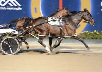 Big things to come for Menangle winner
