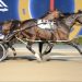 Big things to come for Menangle winner