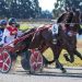Howe eyeing a tilt at Trotting Stakes