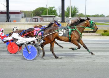 Upset winner in Mares Open Pace