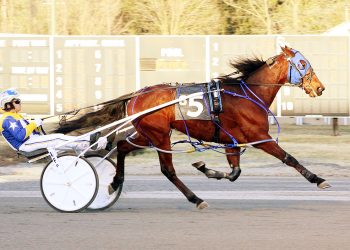 Gate-to-wire wins Saratoga feature
