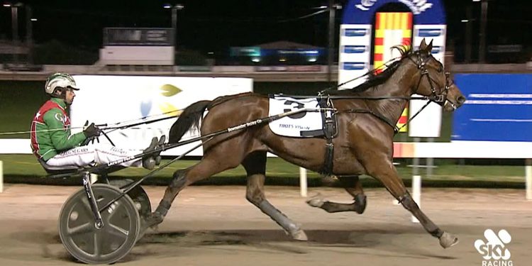 'True Mildura Style' at the fore in Trotters Cup 1 ‘True Mildura Style’ at the fore in Trotters Cup