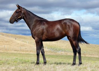 Nutrien Equine welcomes Durham Park