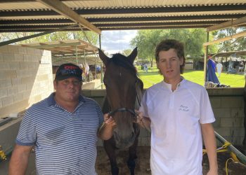 More pain than pleasure for punters