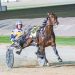 Nutrien Equine series ready to deliver 2 Freakish pacer’s spectacular 40-metre win