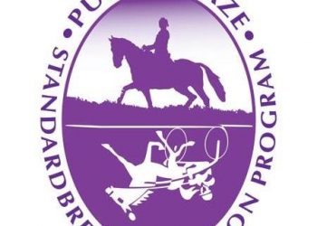 Purple Haze Standardbred Adoption Program