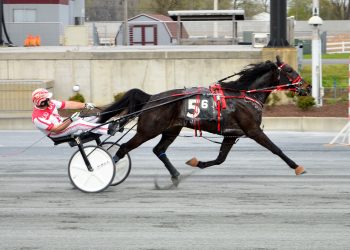 Allan Davis scores seven winners