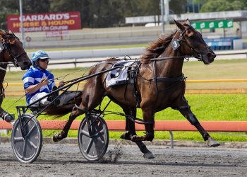 Key player in Trot Rods series