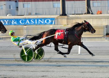 Shoobee Doo A takes Harrington Opening Day Pace