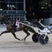 The Onions won by Snowstorm Hanover