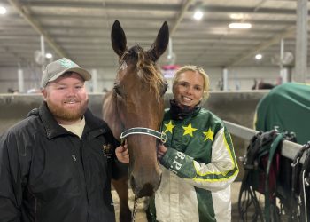 Sofia stamping her mark on NSW harness racing