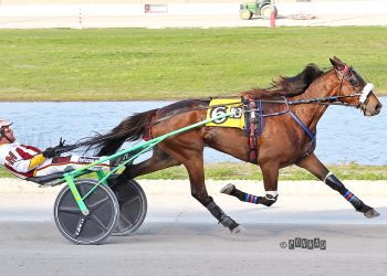 Caviar Gold romps in $50,000 Hackett Memorial