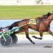 Caviar Gold romps in $50,000 Hackett Memorial