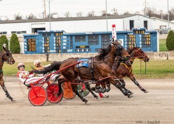 Dontustopbelievn N just gets up at the wire