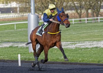 Groupe tests held at Vincennes Saturday