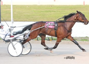 Gold Digger King convincing in 2022 debut