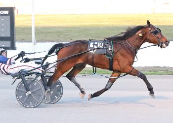 MacDonald arrives in time to win Farwick Memorial