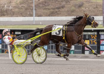 Upset winner in Mares Open Handicap Pace