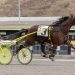 Upset winner in Mares Open Handicap Pace