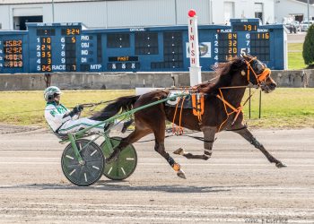 Lougazi, YS Lotus continue winning ways at Buffalo