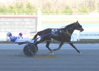 Mr. Dunnigans an easy pocket-rocket winner