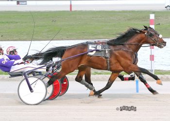 Close finishes in Hackett Memorial elims