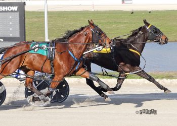 Snobbytown hangs tough to the wire