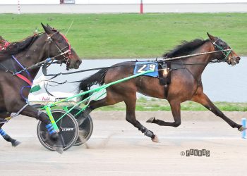 Toes In The Water takes $50,000 Hackett Memorial