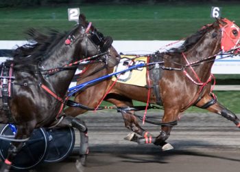 Shvaiko gets lucky and rail opens up at Big M