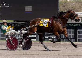 “Western” gets 4th straight, Dorsoduro gets $2 million