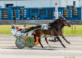 Xenia’s Chip holds on in Open Pace