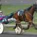 Bob Loblaw seeks MacGregor glory Friday 4 Career-best effort by Bob Loblaw highlights SBOA elims