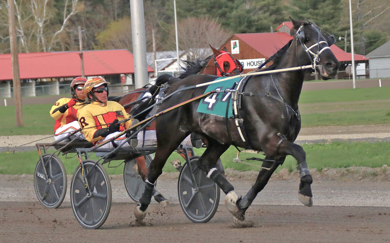 Cumberland Open Trot no problem for Ranger 1
