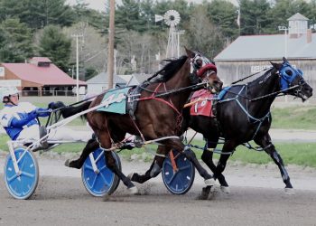 Cumberland Open Trot no problem for Ranger