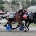 Cumberland Open Trot no problem for Ranger