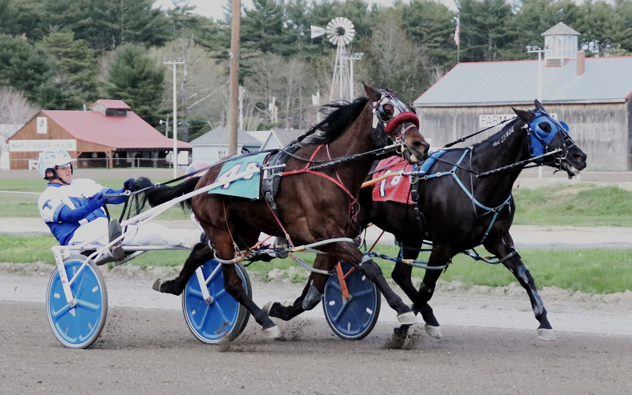 Cumberland Open Trot no problem for Ranger 2