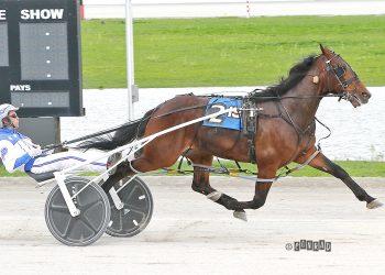 Ohio Sire Stakes action at Miami Valley