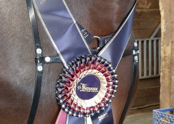 New initiatives, prizes for 2022 Indiana fair circuit