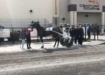 Chaste Forever wins fifth straight in Shirley McClellan elim